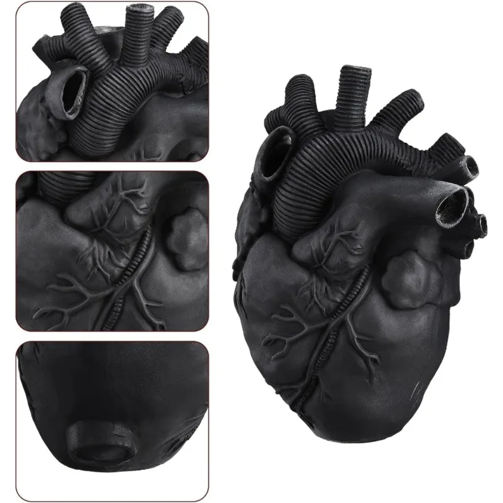 Black Anatomical Heart Vase Ha - Art Craft Movement 리뷰 및 가격