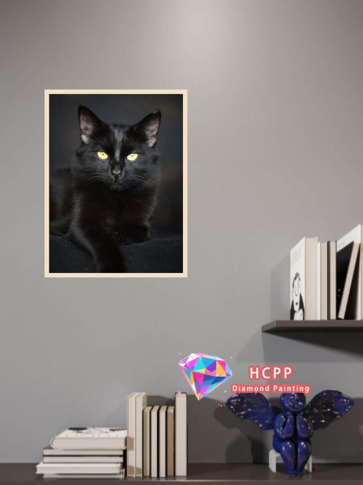 unframe Black Cat Animal Diamo - Art Craft Resin 리뷰 및 가격